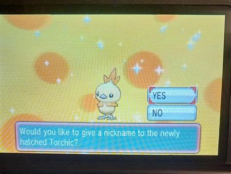torchic hidden ability.